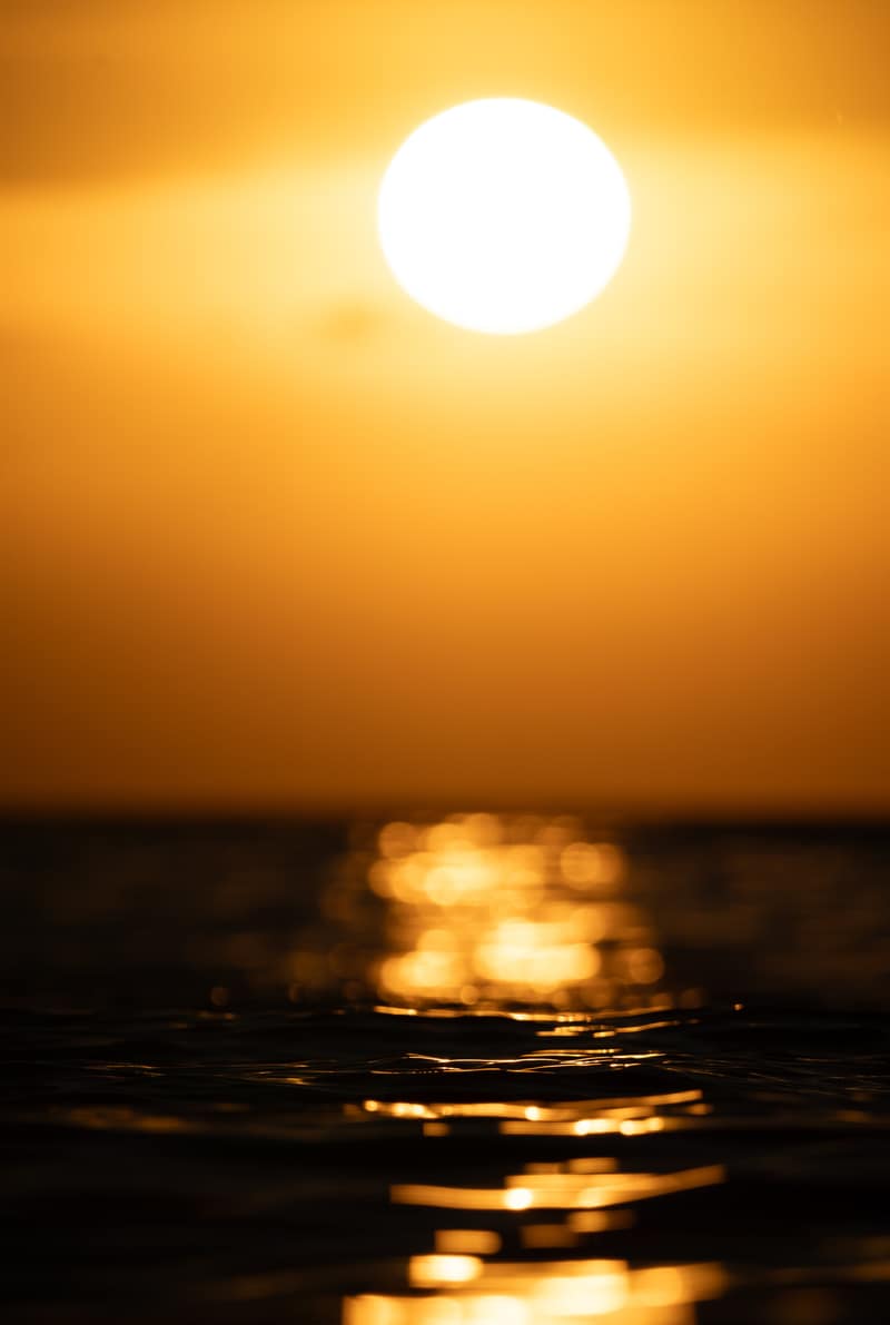 The sun on the horizon
