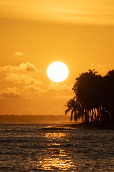 A ilha