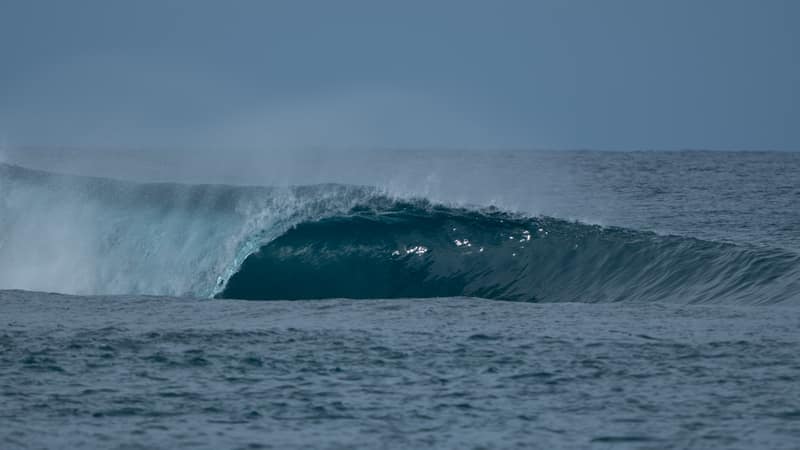 Bintang's Left